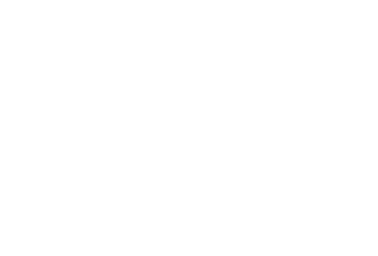 長い歴史の中で培われたプログラミング技術で最適なソリューションを提案。